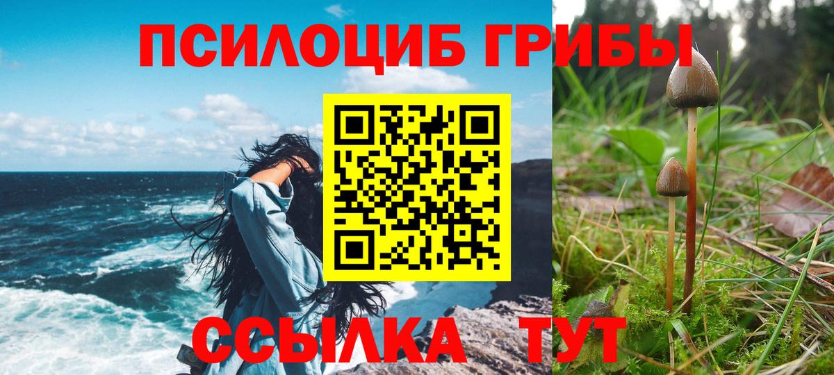 Галлюциногенные грибы мицелий Грозный