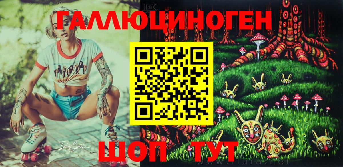 купить  цена  Псилоцибиновые грибы GOLDEN TEACHER  Вход с VPN  Грозный 